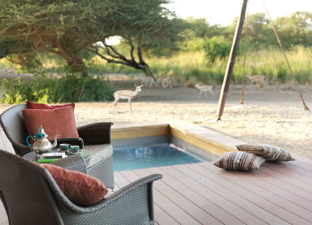 Anantara Sir Bani Yas Island Al Sahel Villa Resort 5*, фото 12