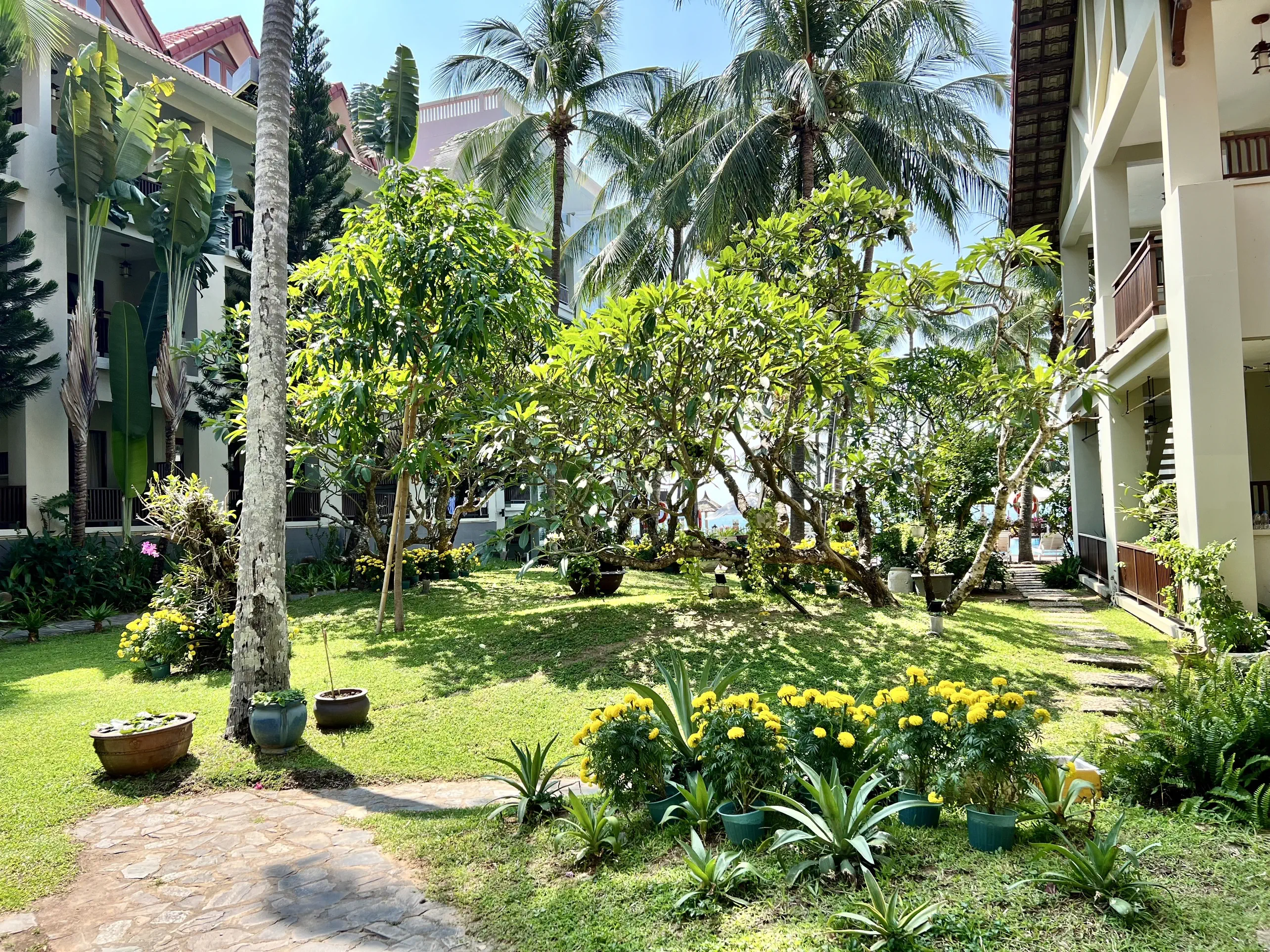Canary Beach Resort 3*, фото 6