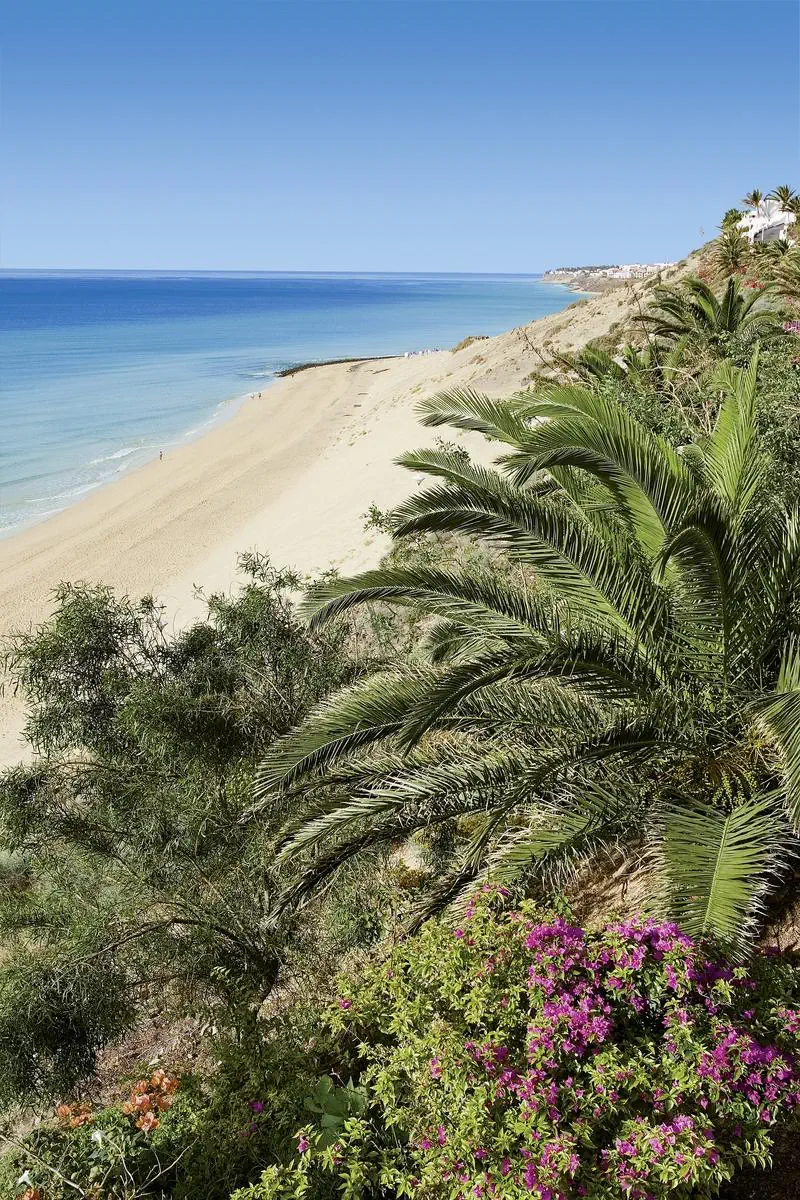 Allsun Esquinzo Beach 4*, фото 8