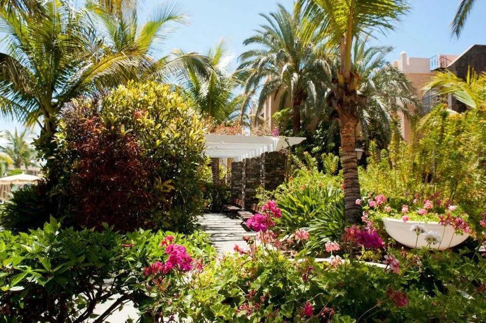 Palm Oasis Maspalomas 3*, фото 16