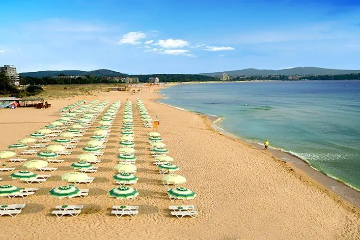 Forest Beach 4*, фото 7