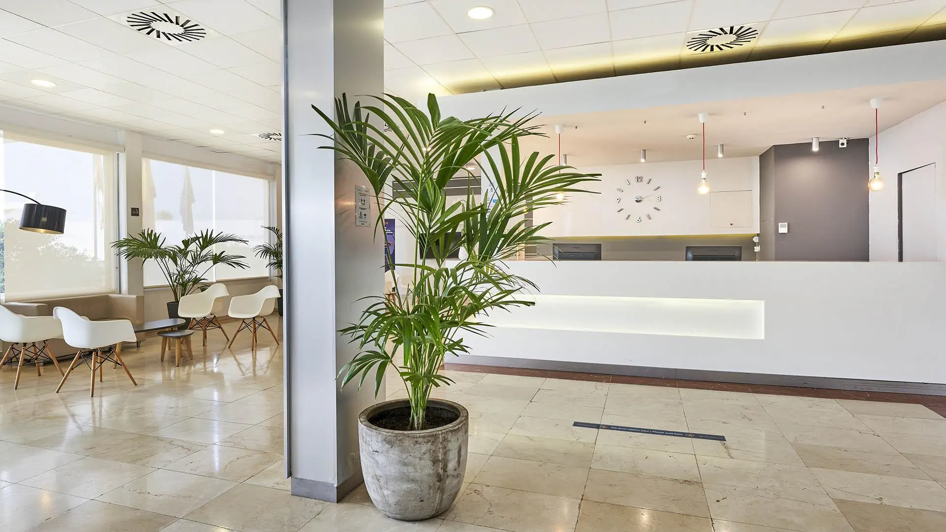 Globales Cala 'n Bosch 4*, фото 6