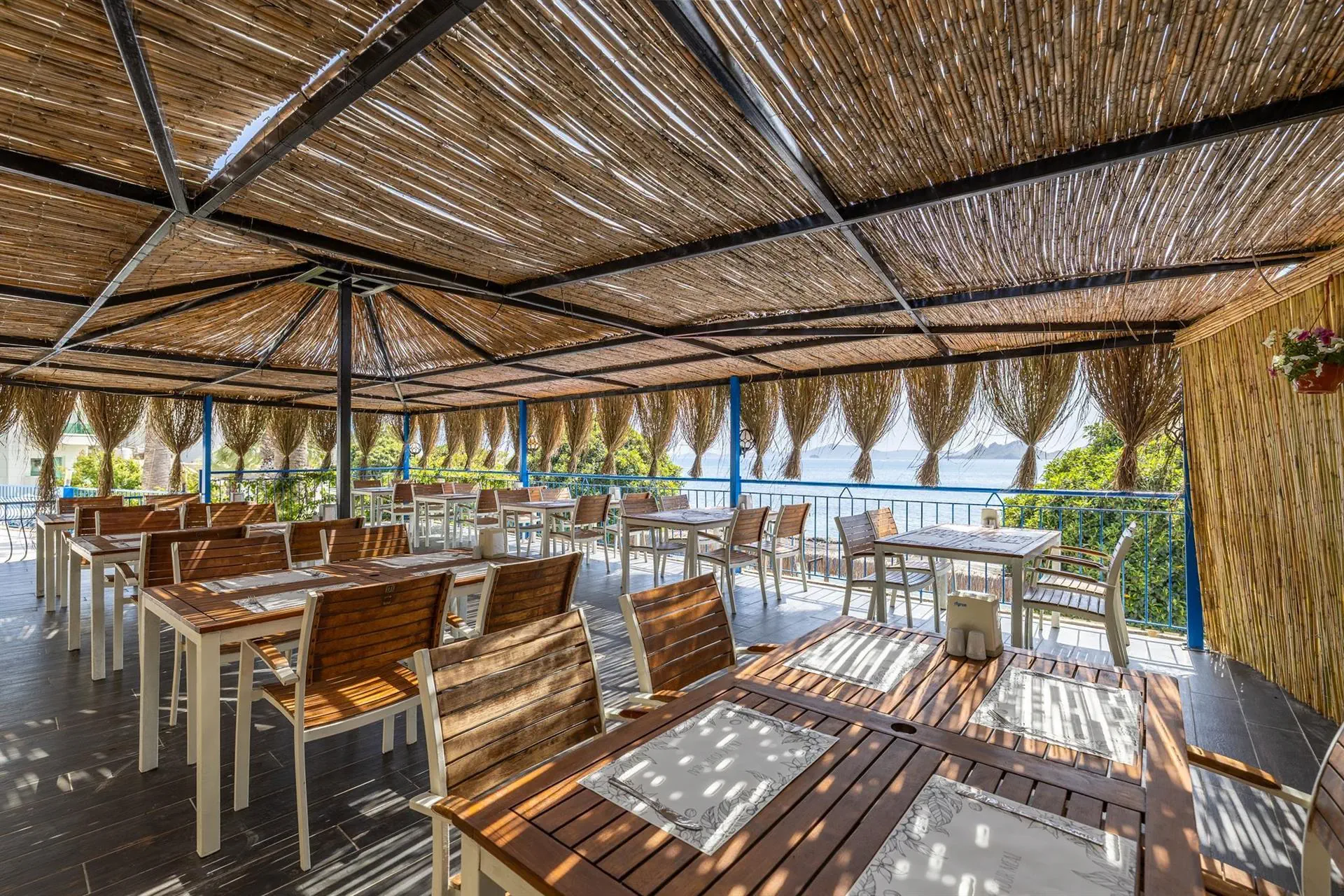 MaxSea Beach 3*, фото 11