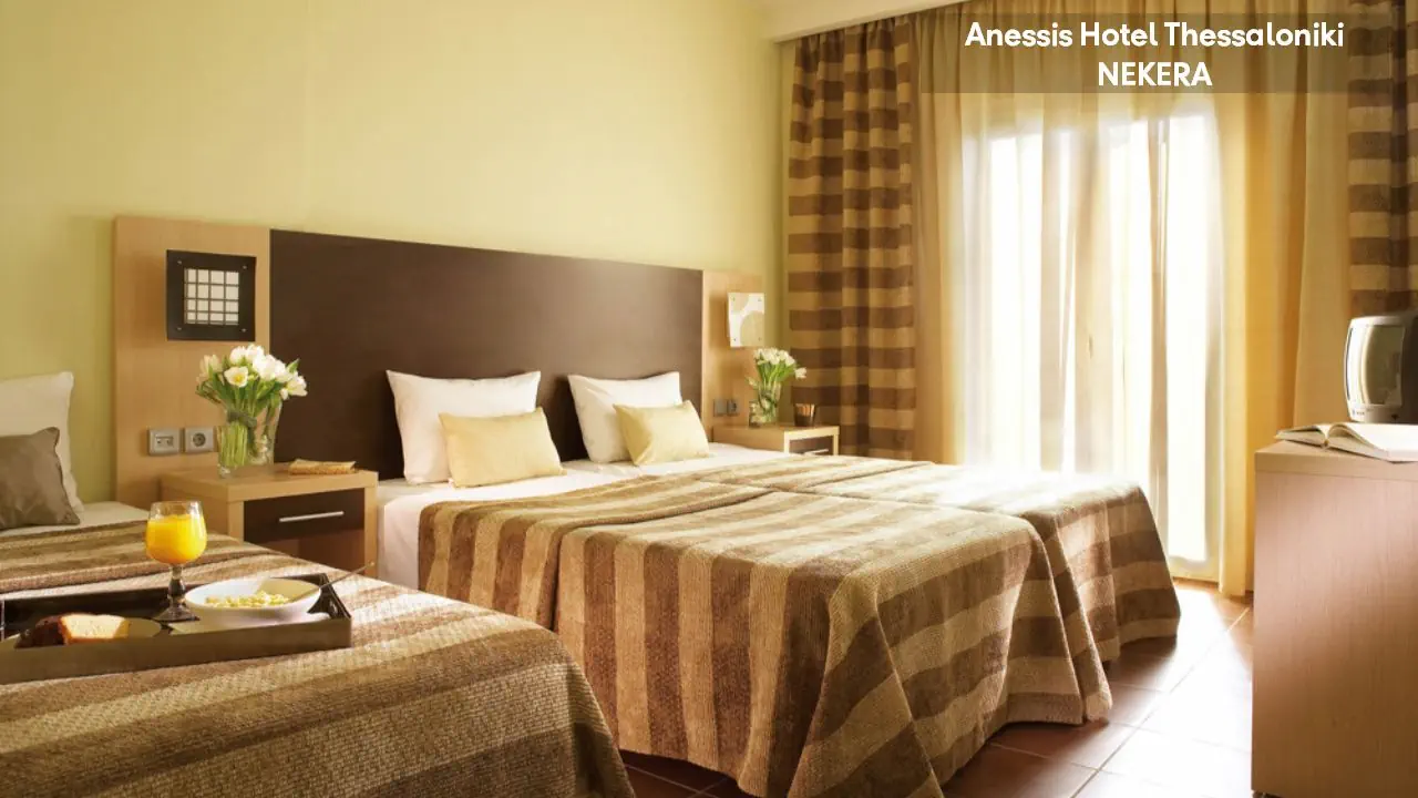 Anessis 3*