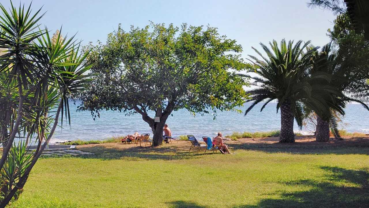 Mimoza Beach 4*, фото 6