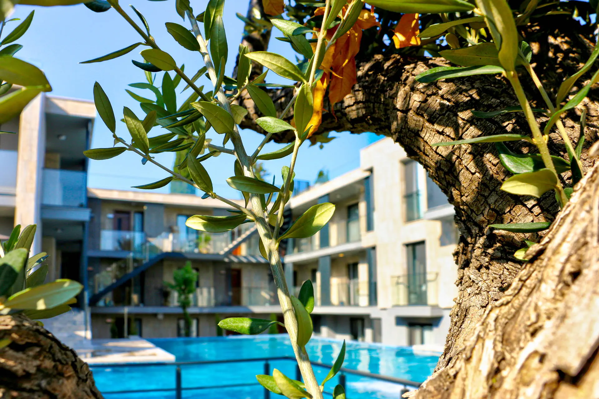 ARCADIA of BODRUM, фото 16