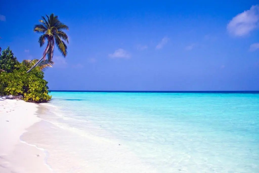 Safari Island 4*, фото 4
