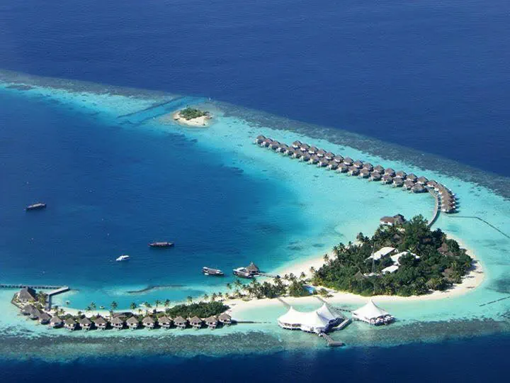 Safari Island 4*, фото 14