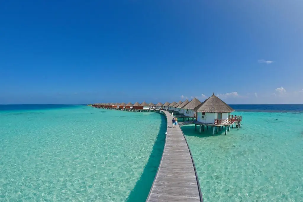 Safari Island 4*