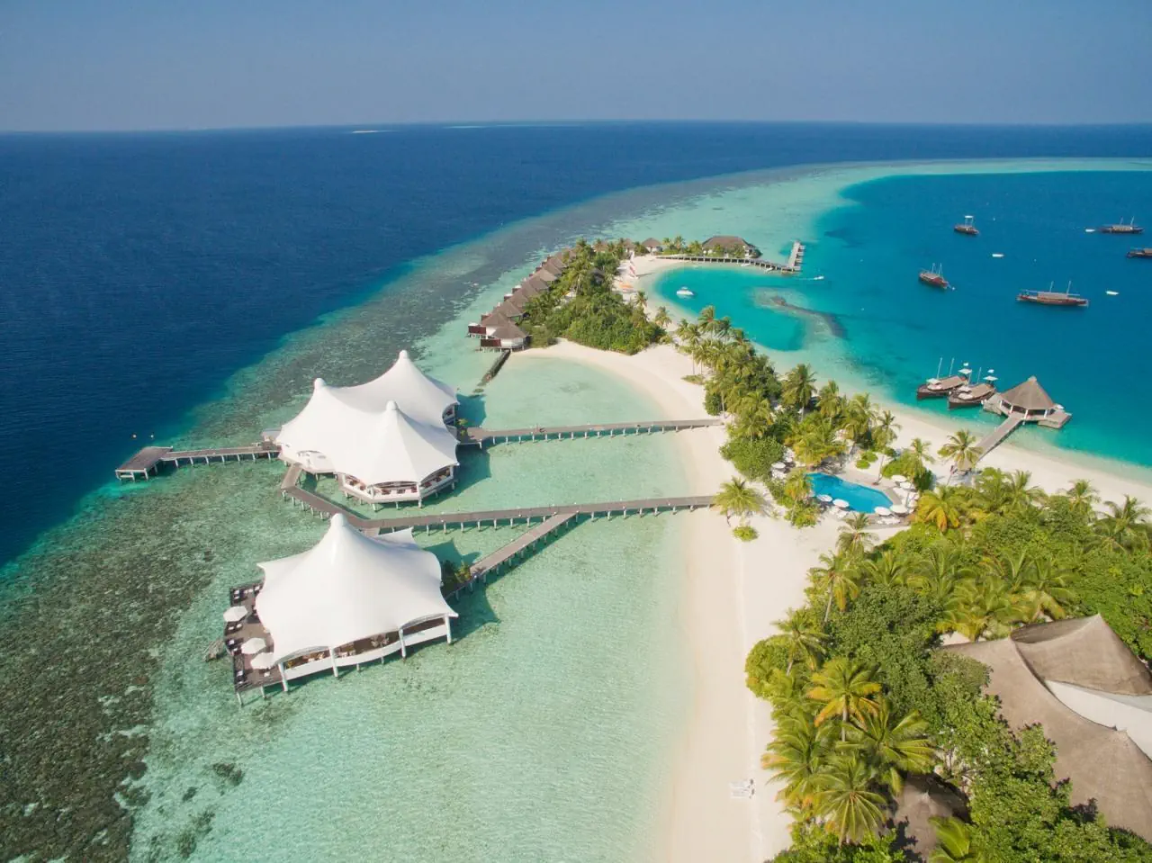 Safari Island 4*, фото 9