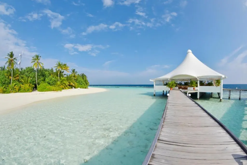 Safari Island 4*, фото 2