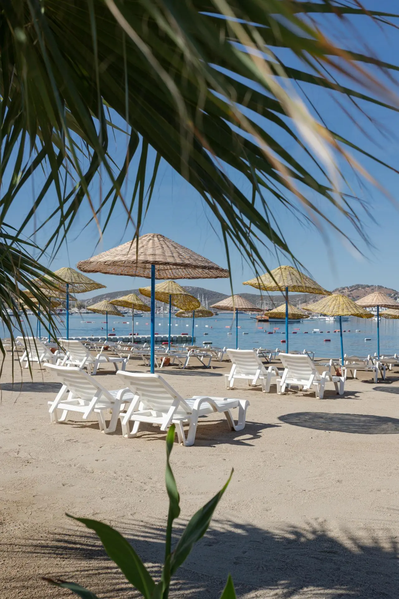Bodrum Anadolu 4*, фото 16