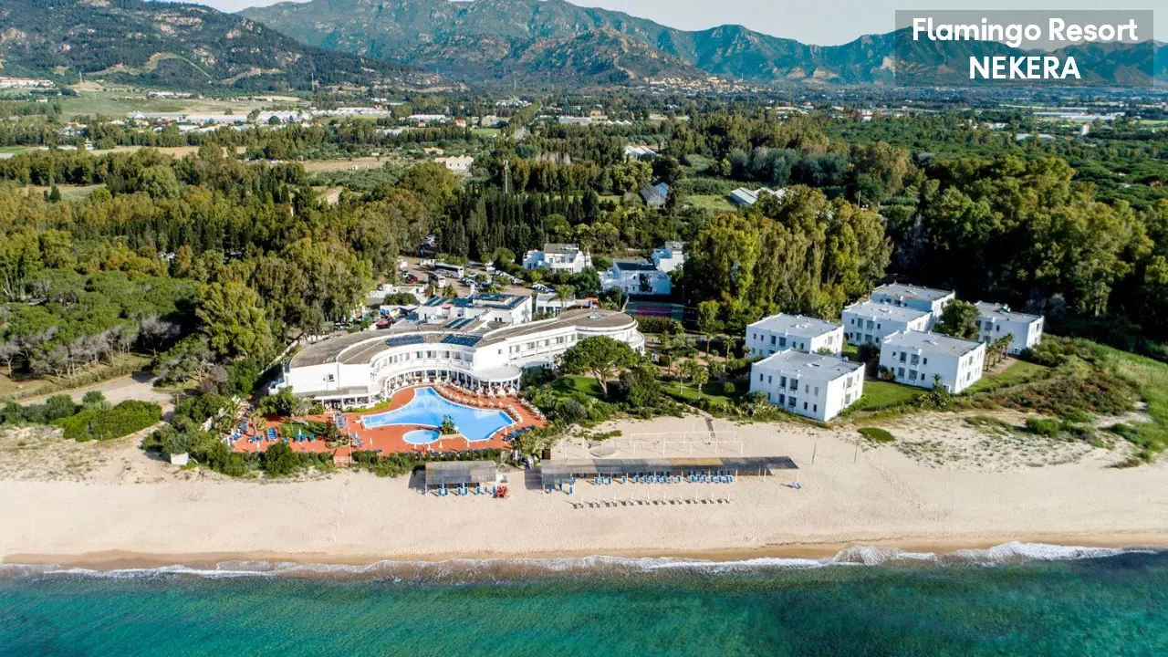 Flamingo 4*