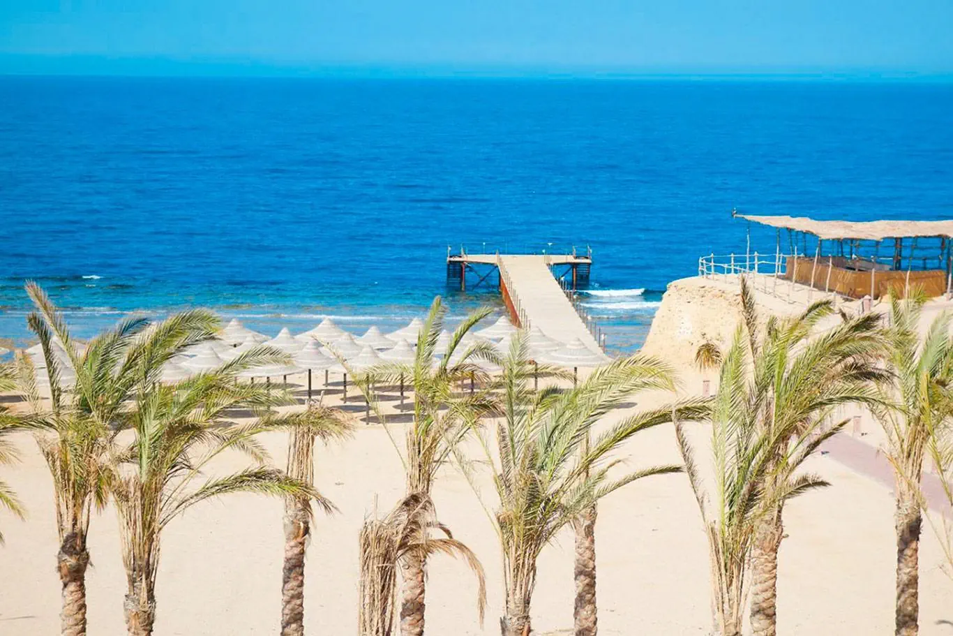 Viva Blue Resort & Diving Sports 4*, фото 2