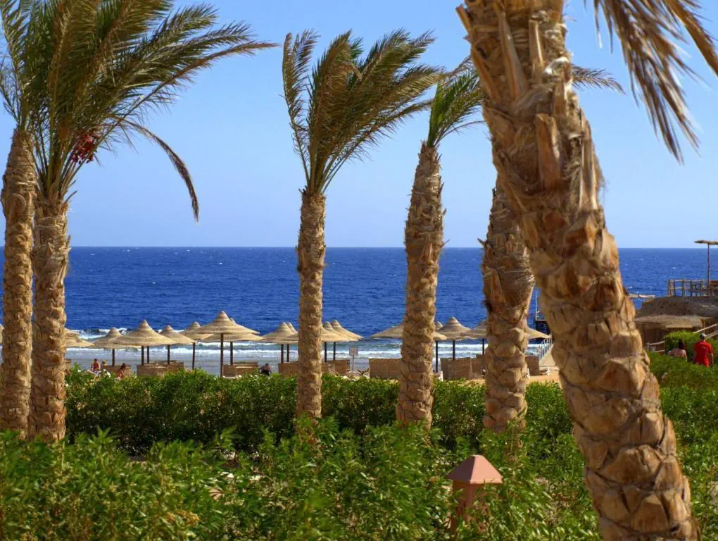 Viva Blue Resort & Diving Sports 4*, фото 10