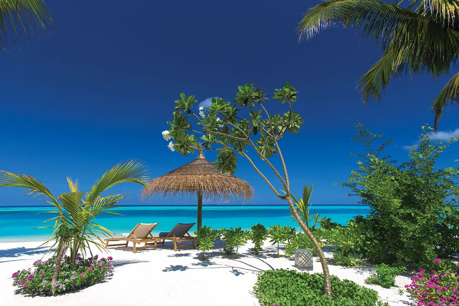 Ozen Life Maadhoo 5*, фото 15