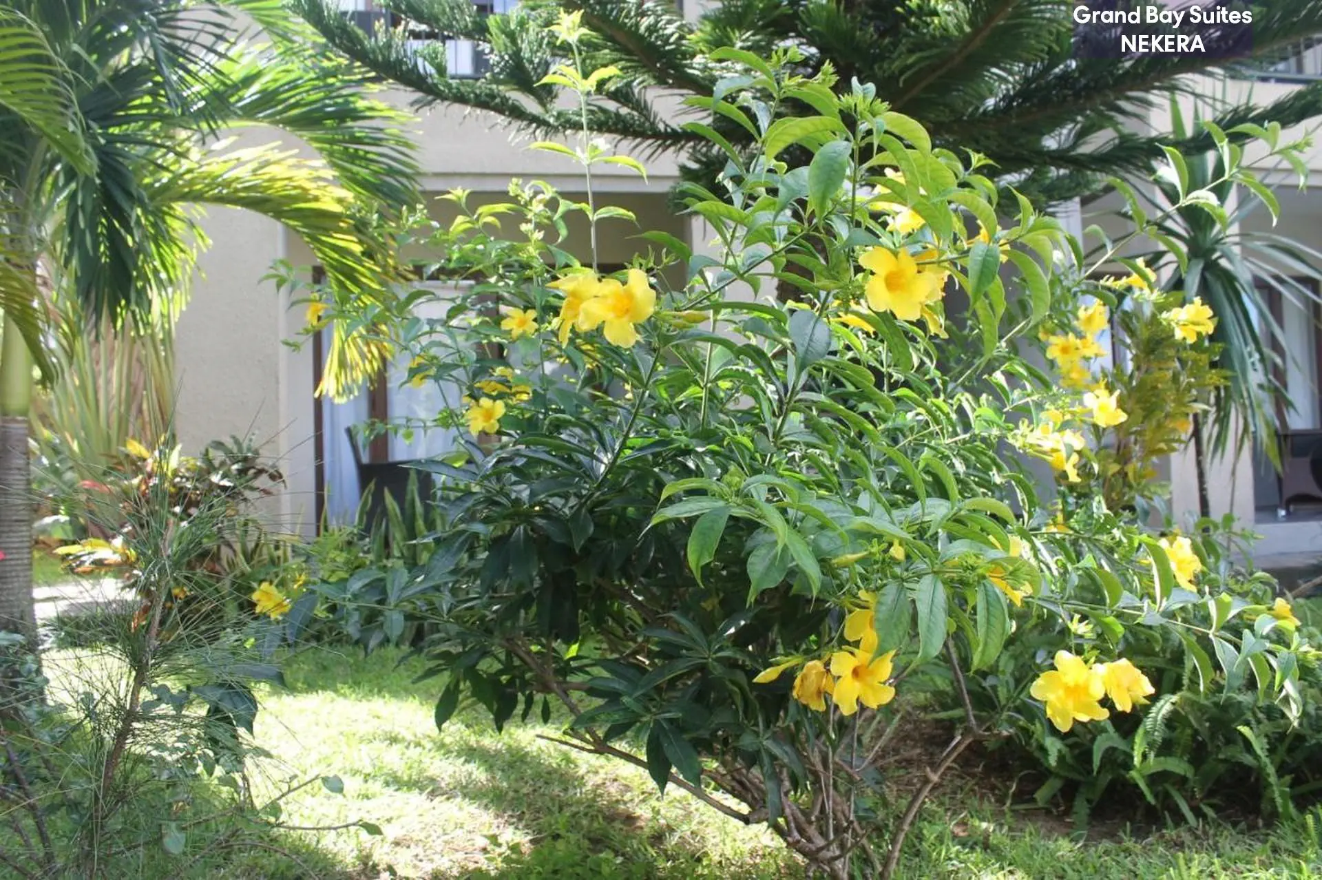Grand Bay Suites 2*, фото 9