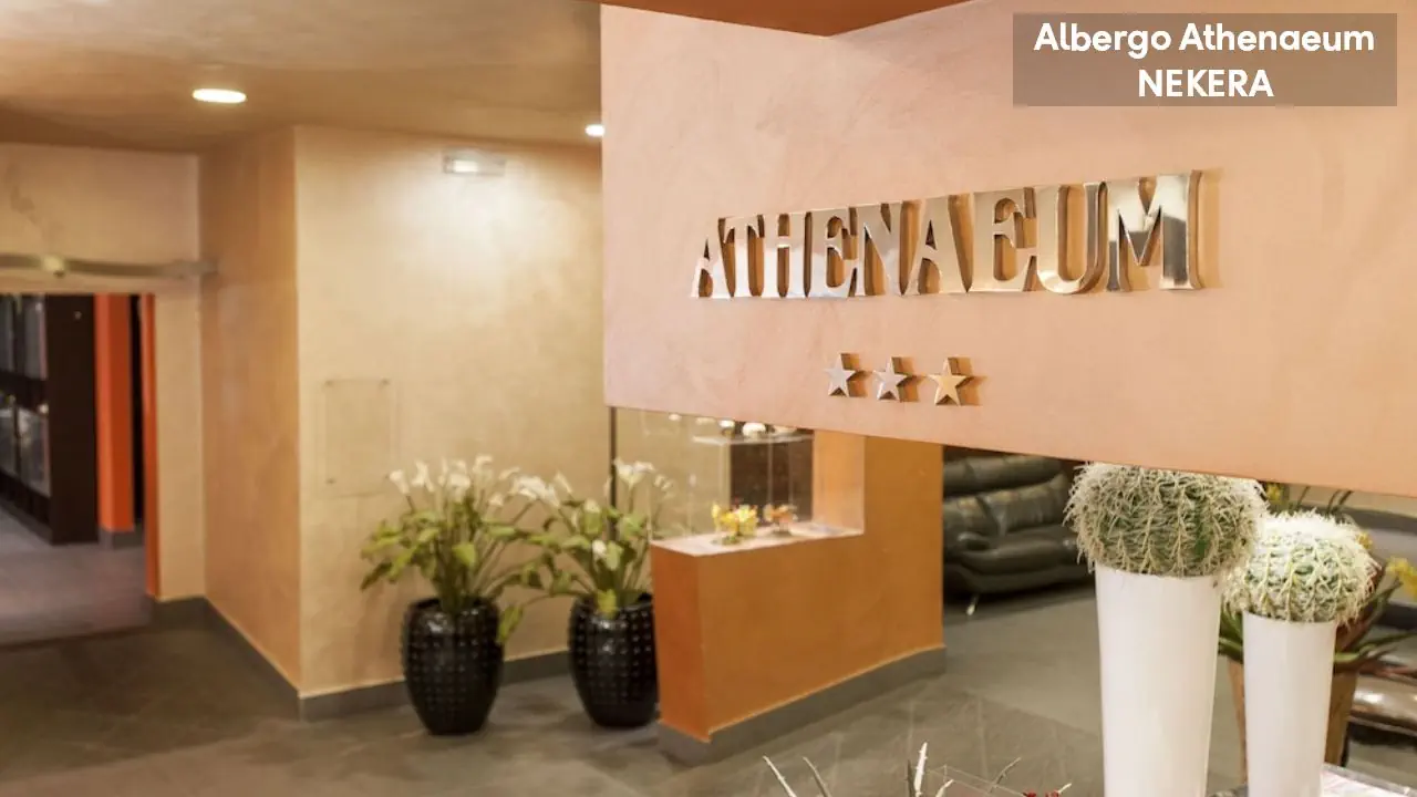 Athenaeum 3*, фото 8