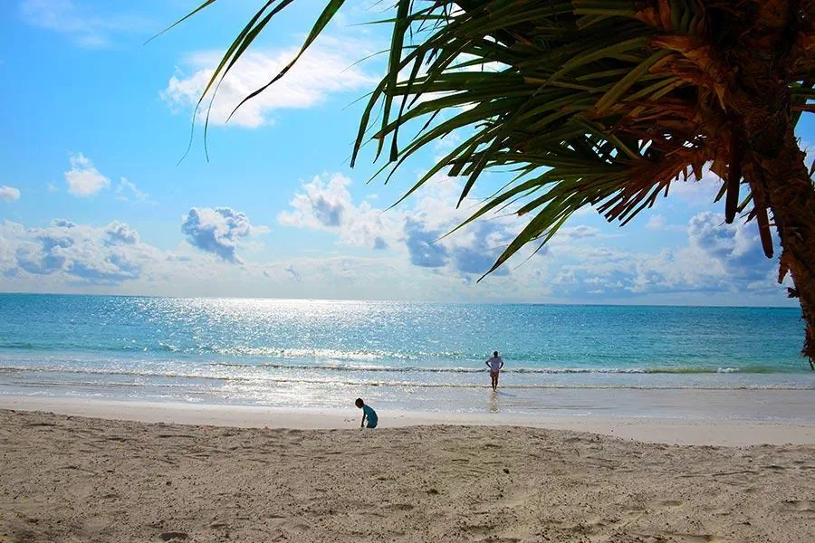 Indigo Beach 4*, фото 4