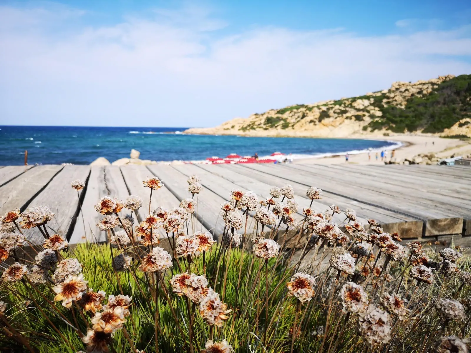 Club Esse Gallura Beach Village 3*, фото 4