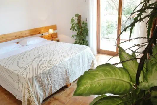 Club Esse Sporting 4*, фото 9