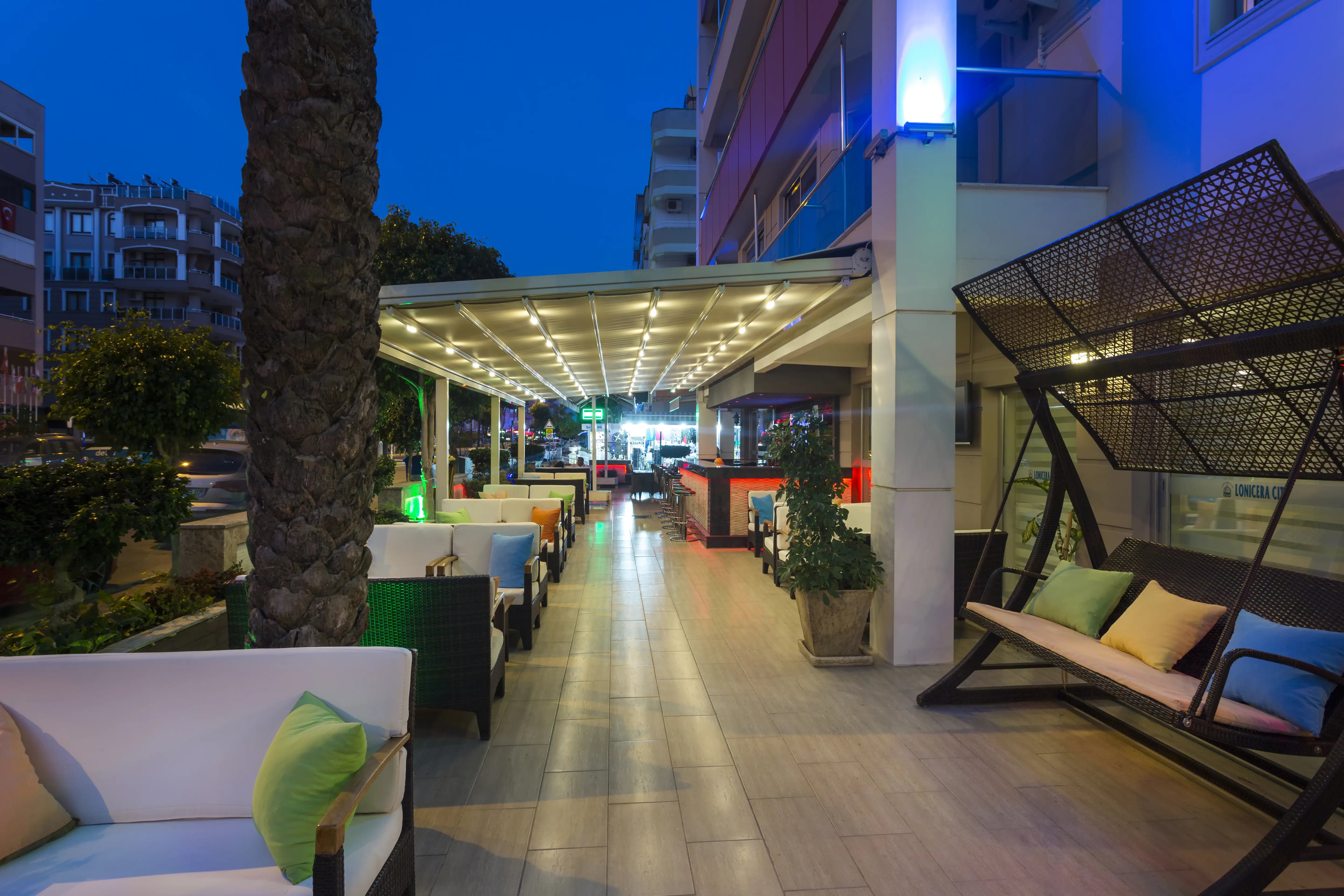 Lonicera City Kleopatra 3*