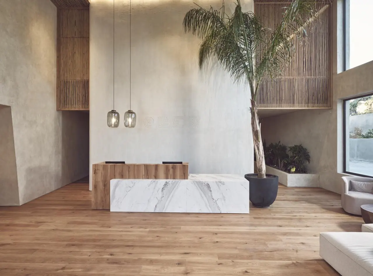 Olea All Suites 5*, фото 6