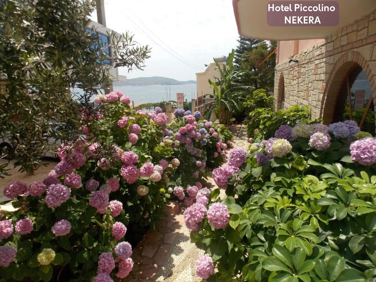 Piccolino 3*, фото 4