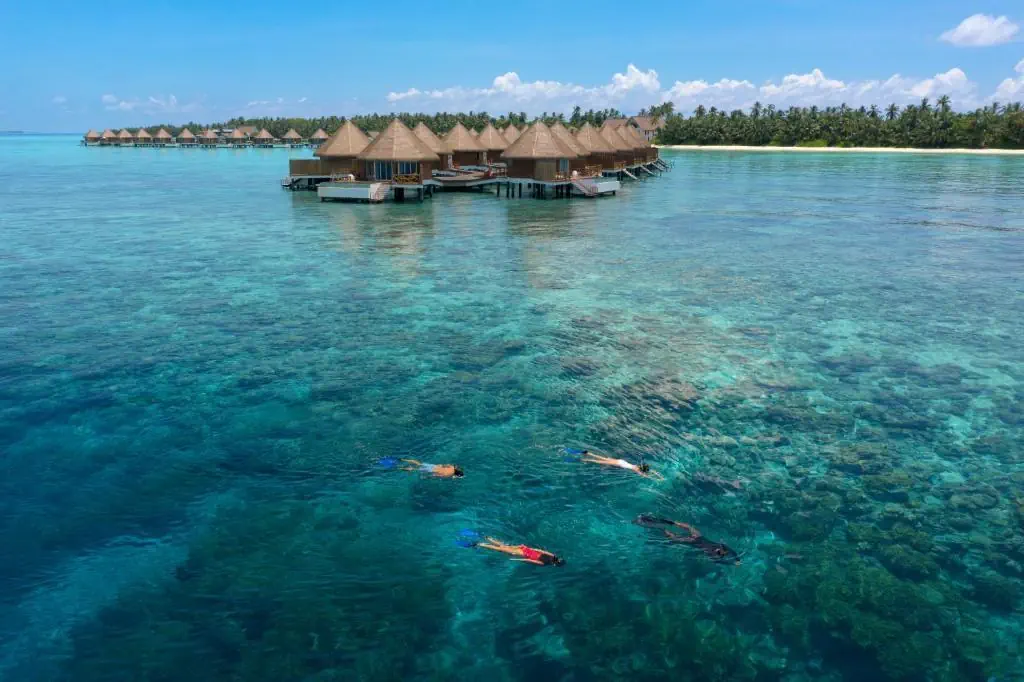 Mercure Maldives Kooddoo Resort 4*, фото 2