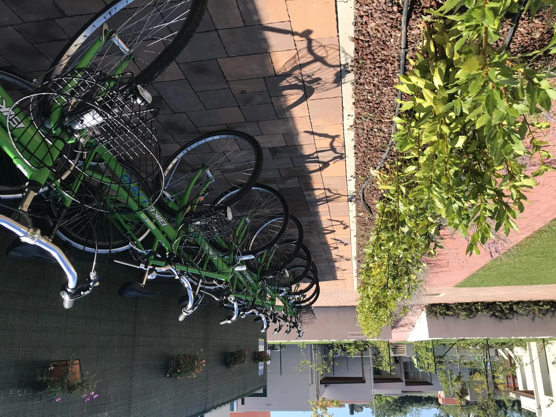 Sisan Family Resort 4*, фото 16