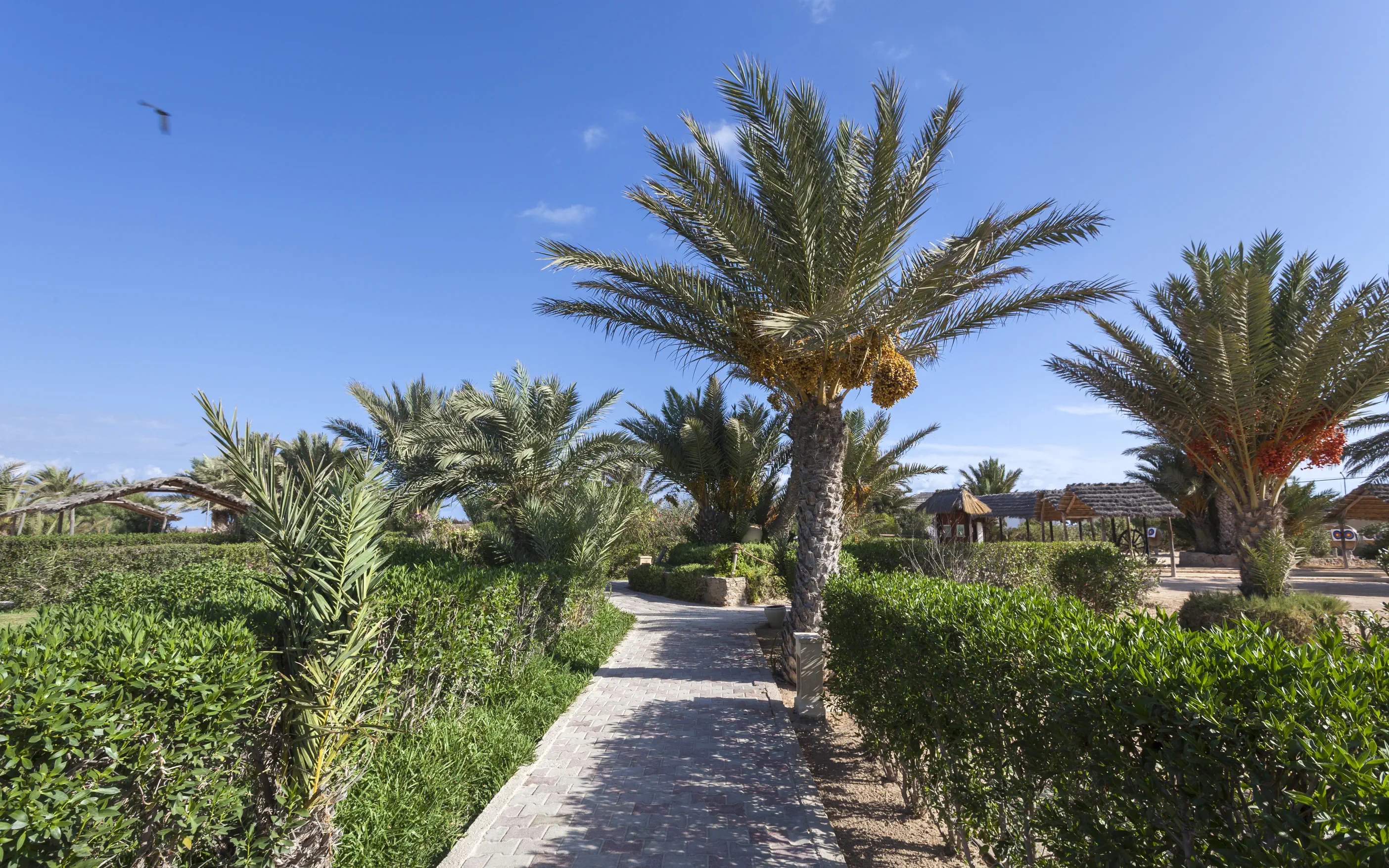Seabel Rym Beach Club 4*
