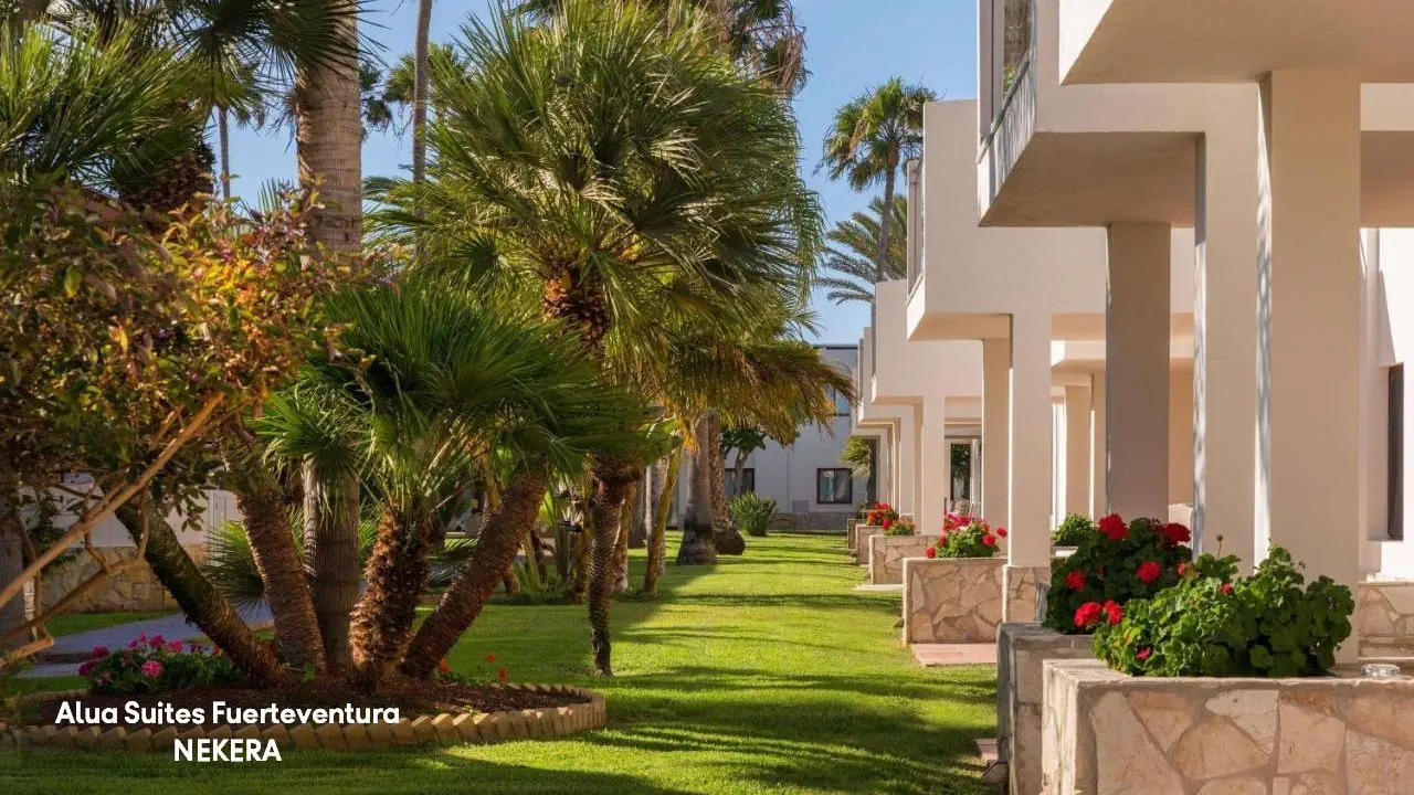 Alua Suites Fuerteventura 4*, фото 4