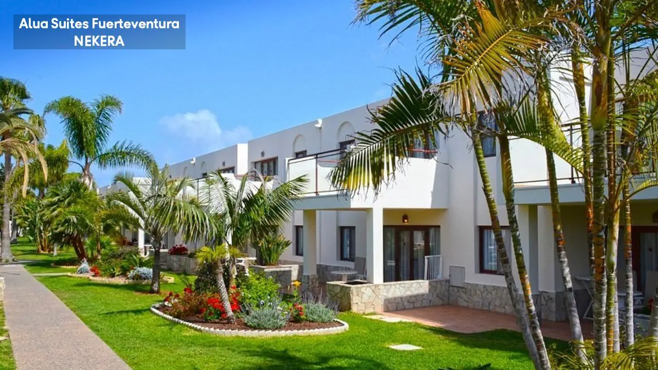 Alua Suites Fuerteventura 4*, фото 6