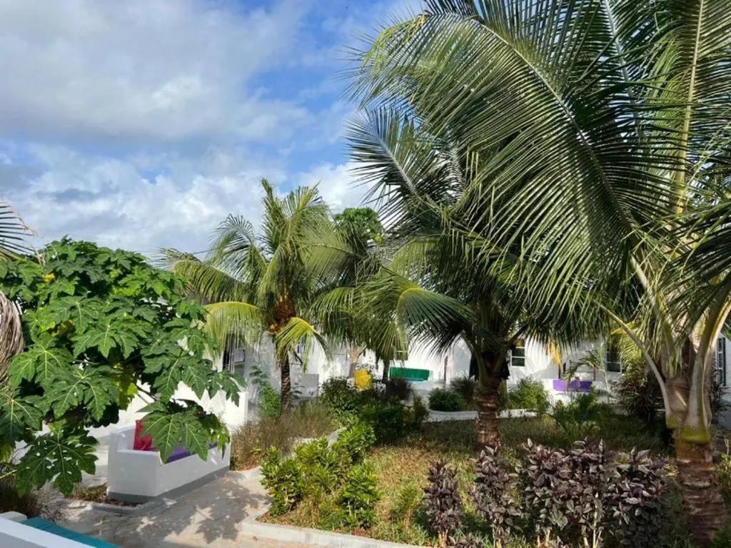 SunSeaBar Beach Resort 4*, фото 13