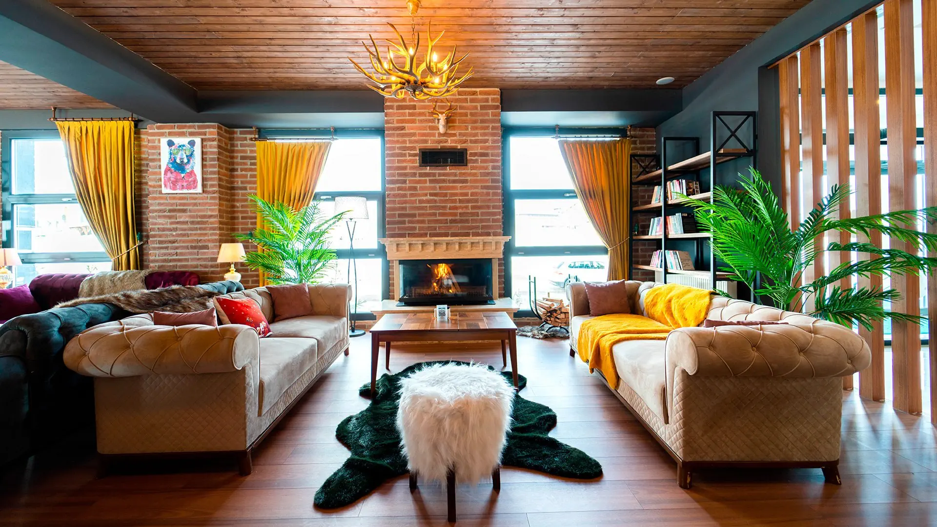 Library Erciyes 4*, фото 4