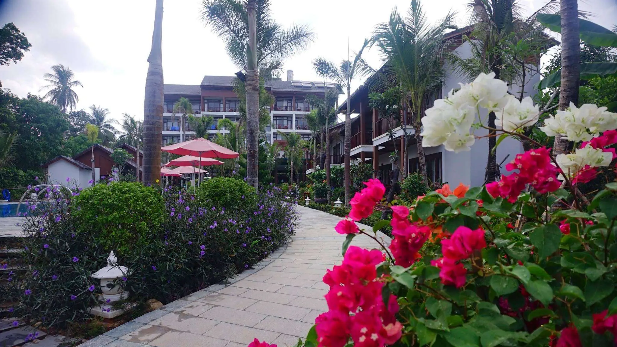 Tropicana Resort Phu Quoc 3*, фото 9