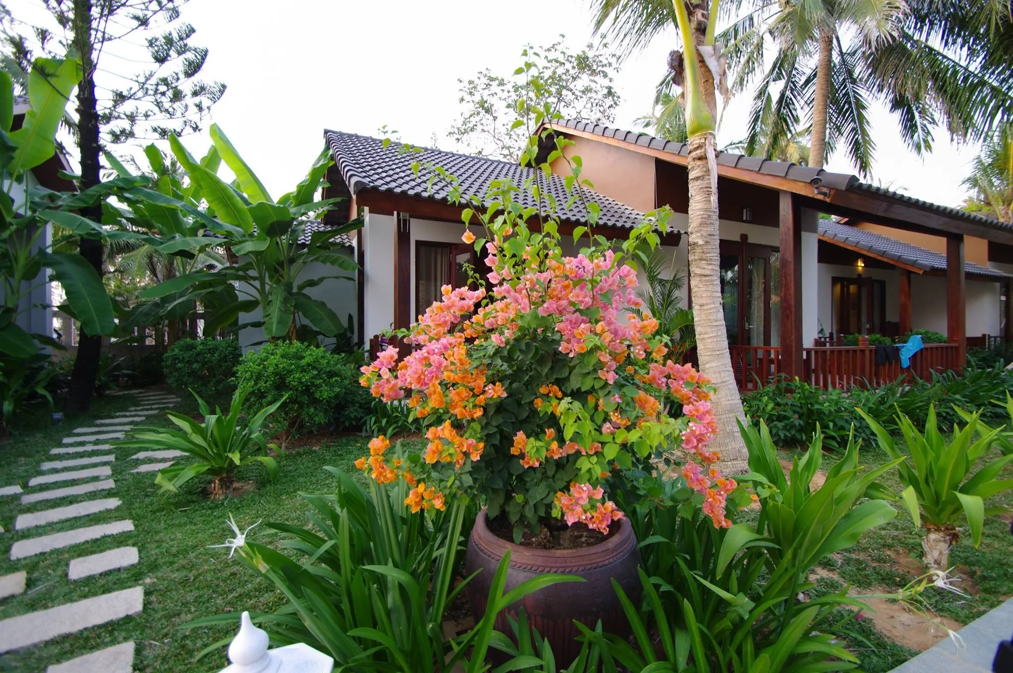 Tropicana Resort Phu Quoc 3*, фото 16