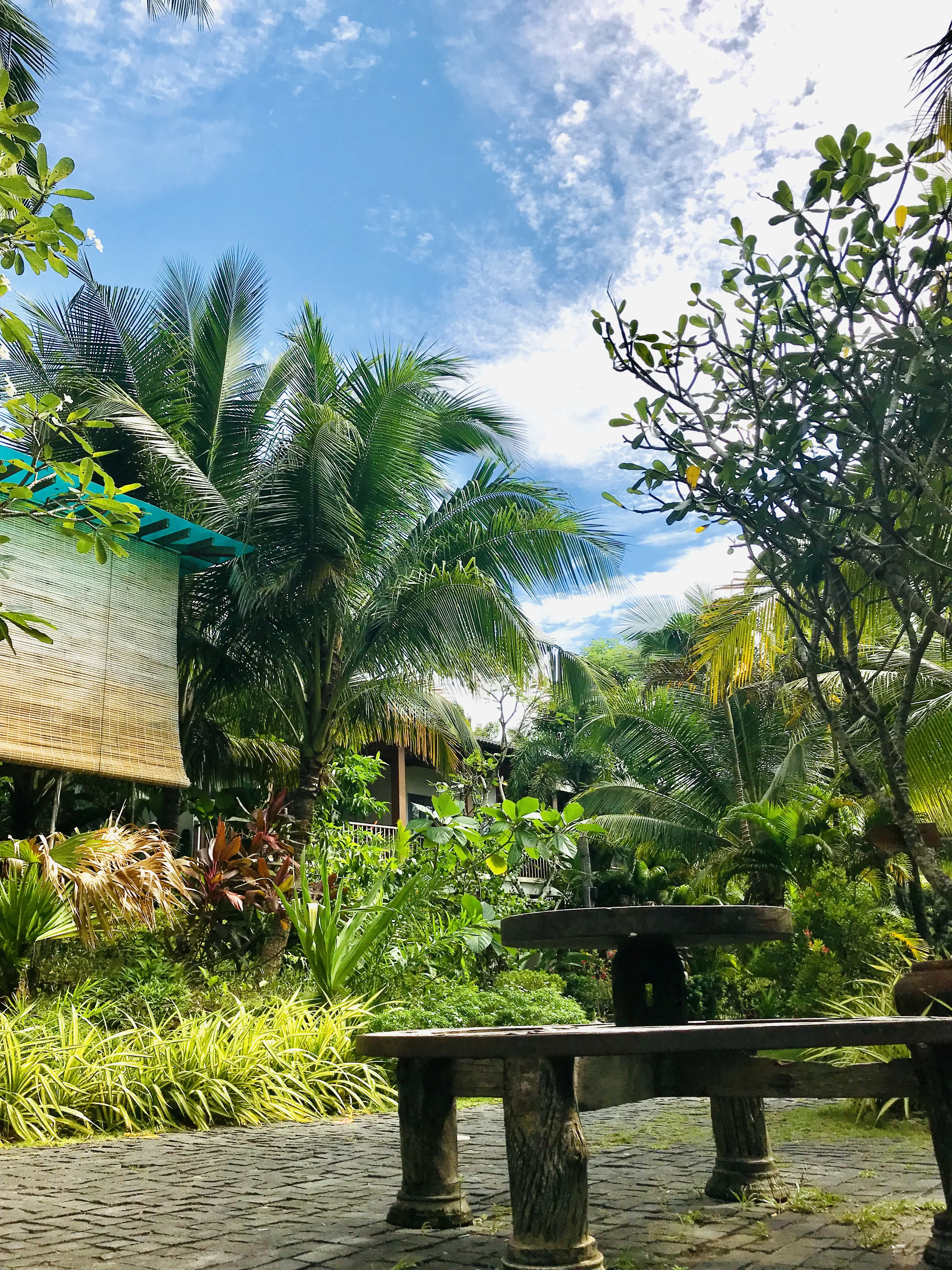 Tropicana Resort Phu Quoc 3*, фото 15