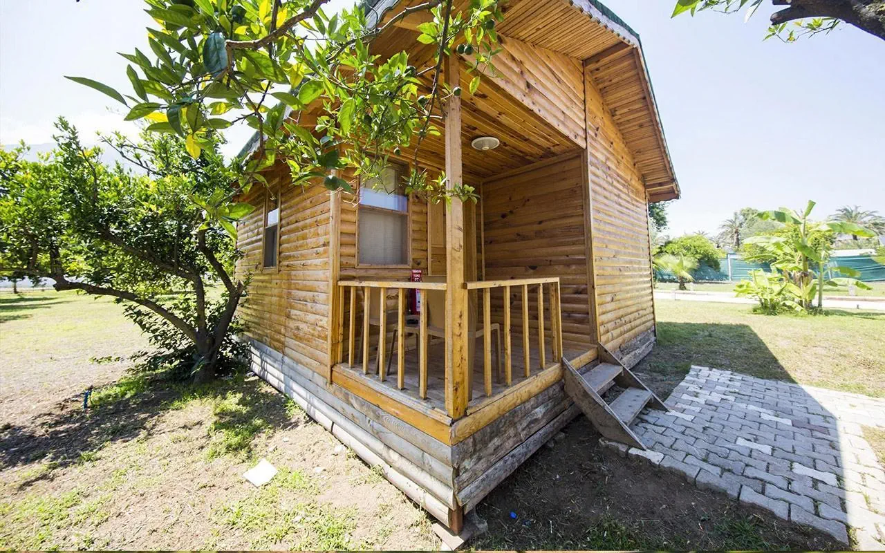 Elamir Beach Bungalow 4*, фото 10