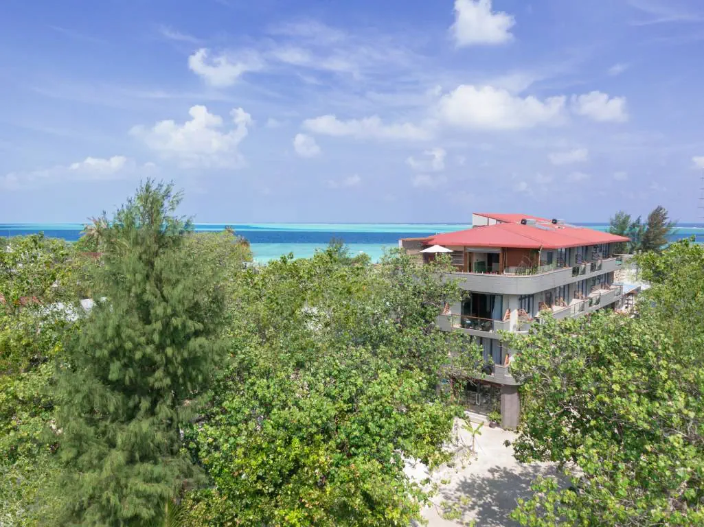 Ayala Ocean View 3*