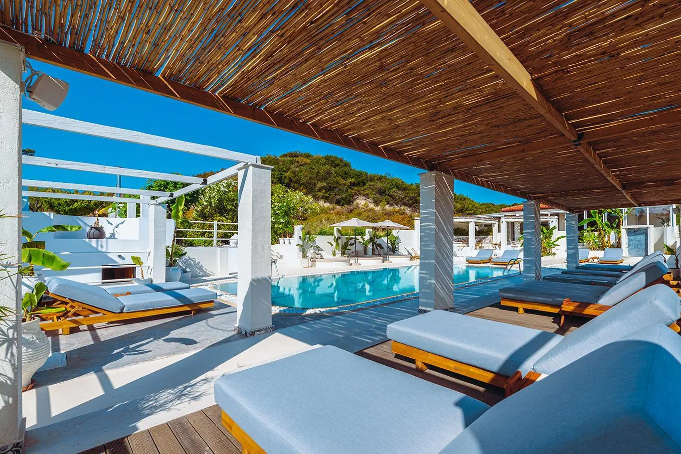 Ampelia 3*