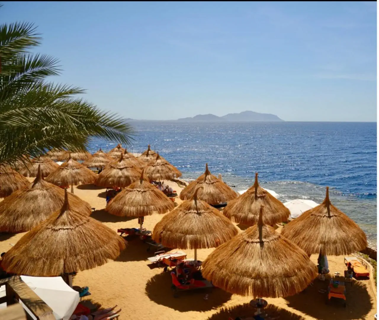 Pickalbatros Luxury Suites 5*, фото 8