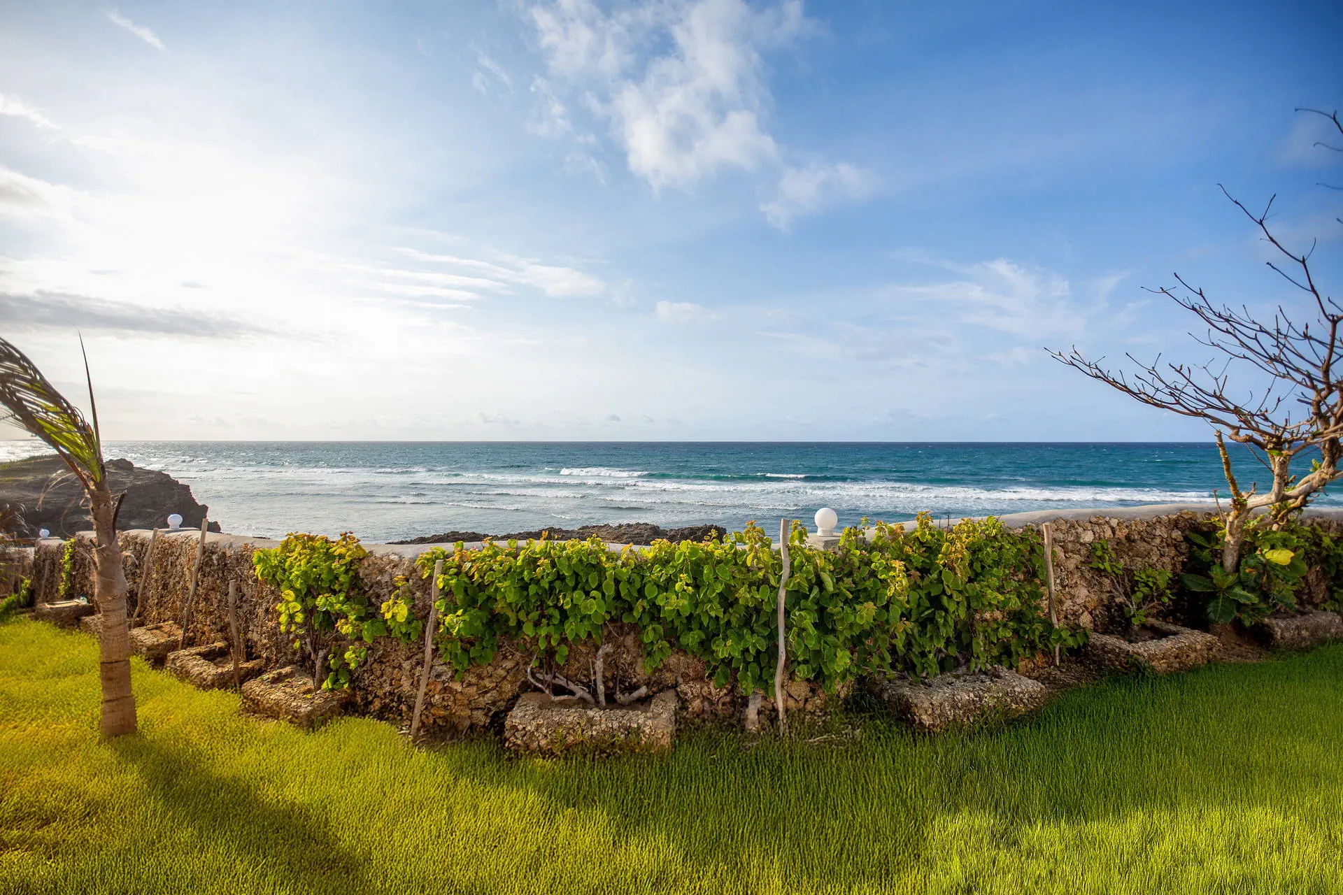 AHG Lion Beach Resort & Spa 4*, фото 12
