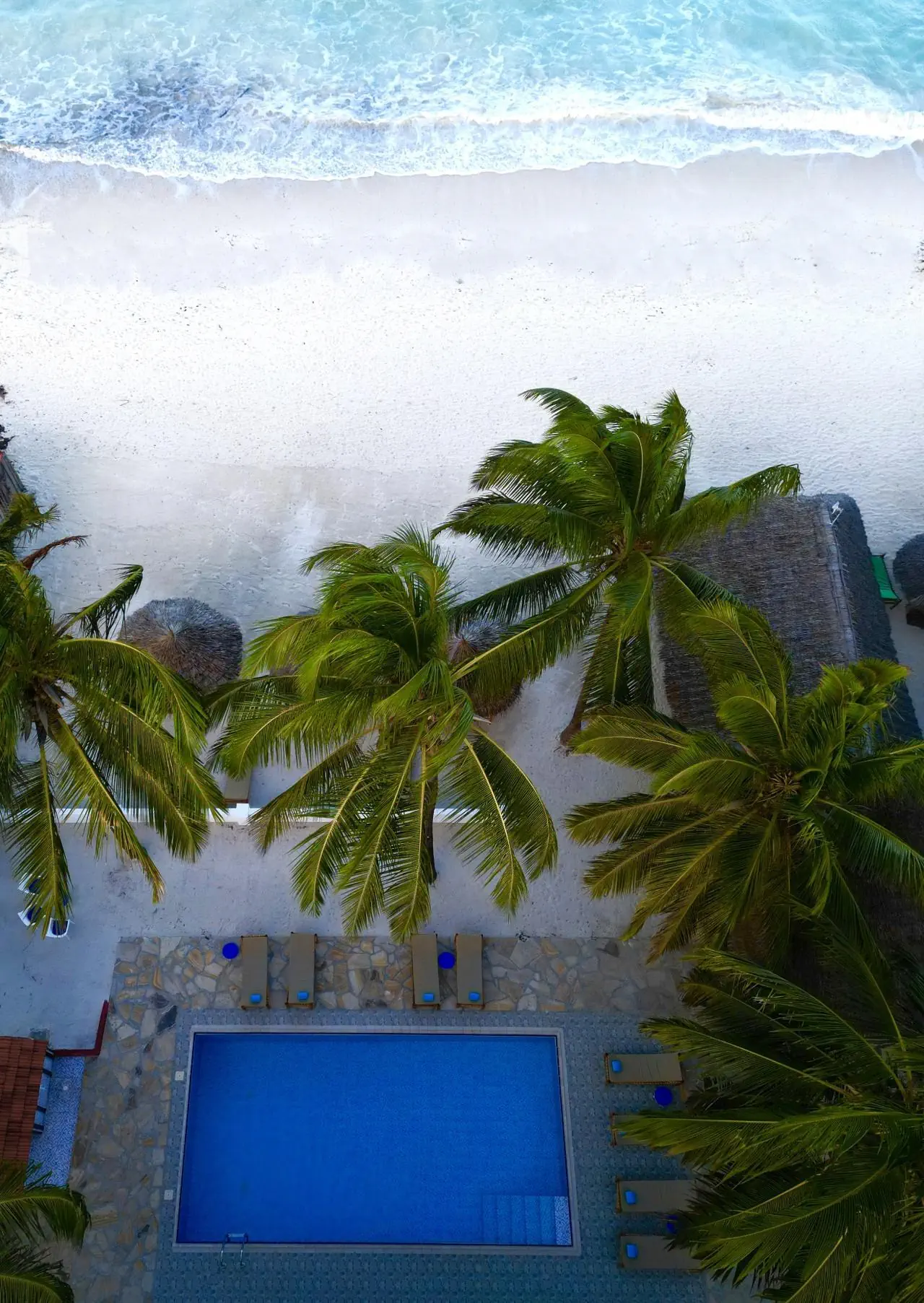 Bianco Azzurro 2*