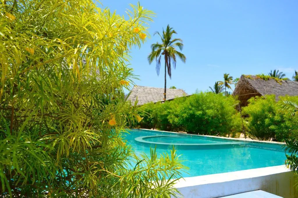 New Jambo Bungalows 2*, фото 4