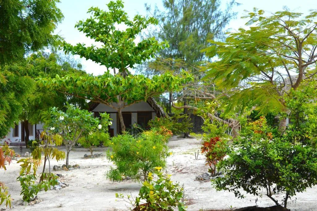 New Jambo Bungalows 2*, фото 15