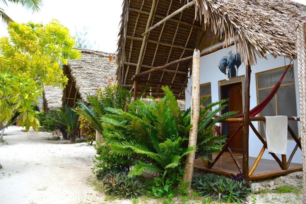 New Jambo Bungalows 2*, фото 9