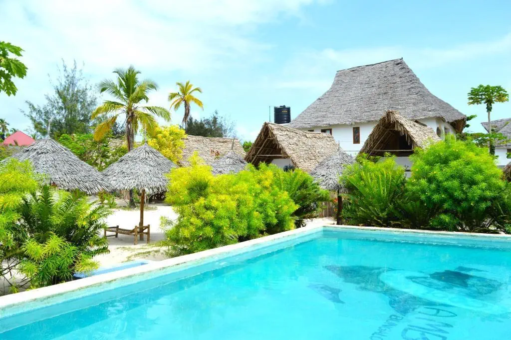 New Jambo Bungalows 2*, фото 3