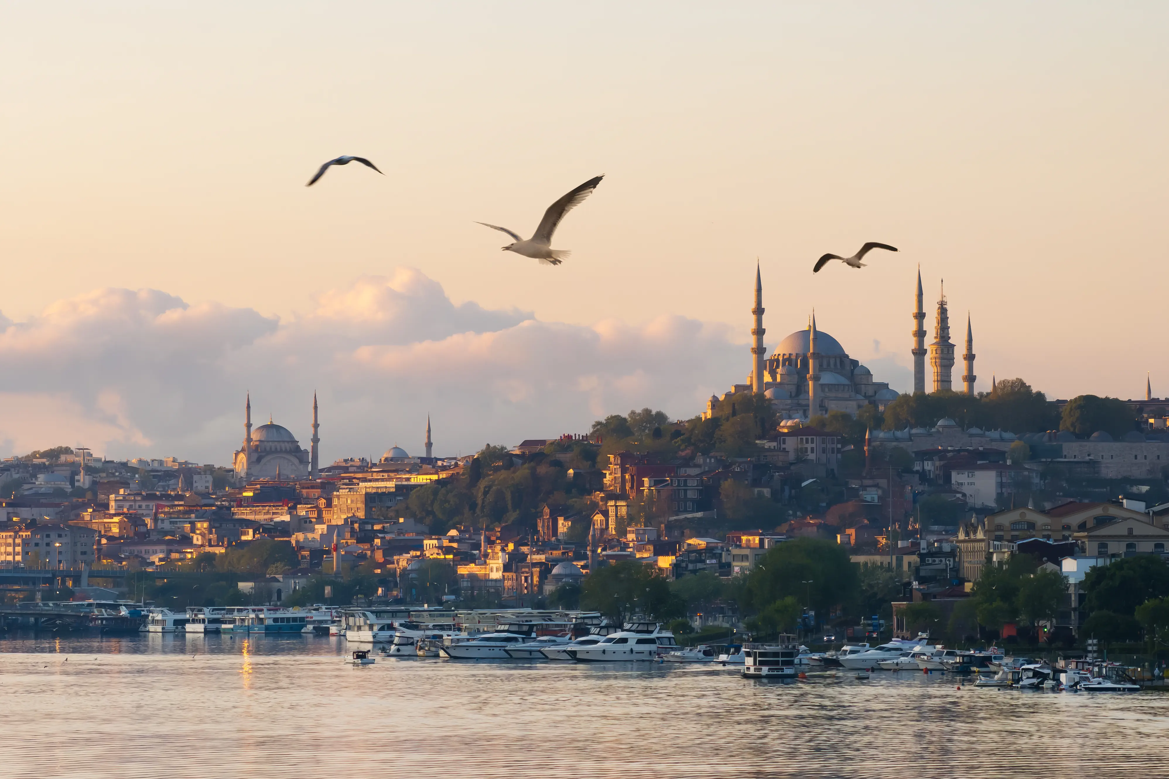 Rixos Tersane Istanbul 5*, фото 2