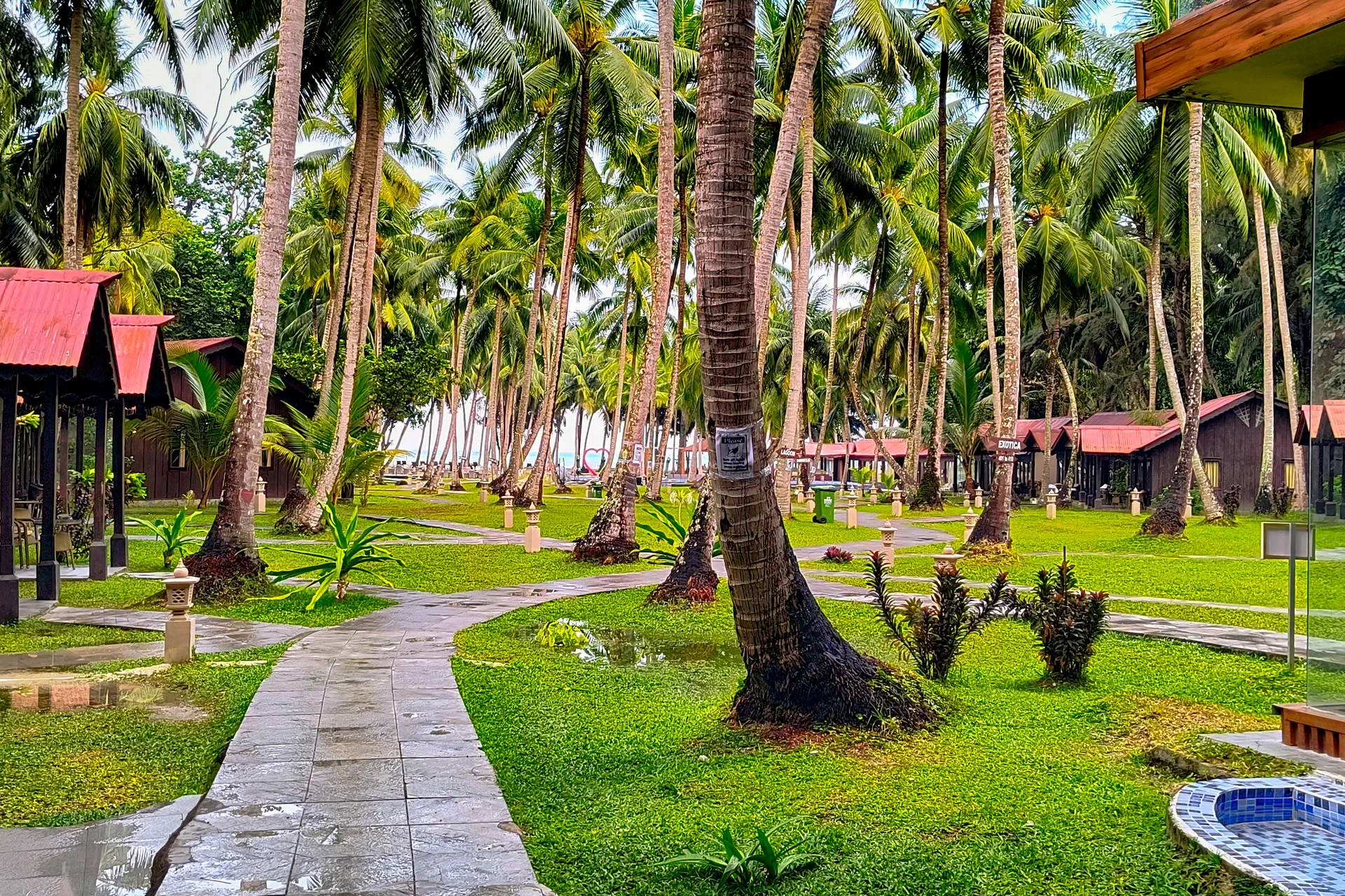 Silver Sand Beach Resort Havelock 5*, фото 9